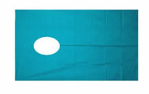 Angio sheet with 5" side hole -  sky blue